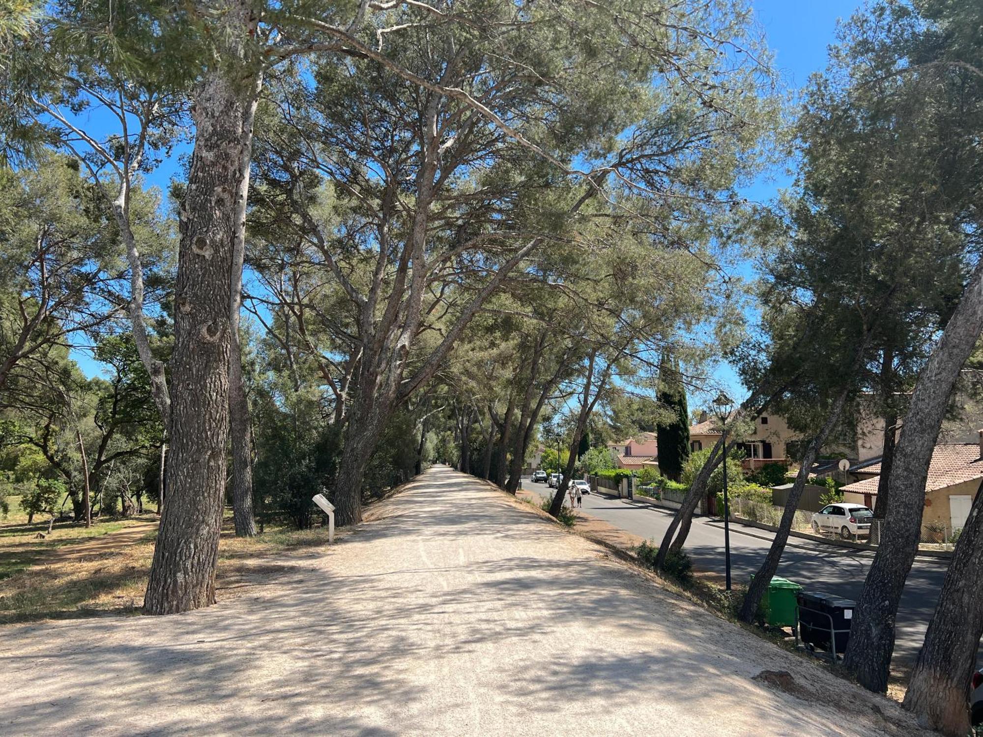 Petit mas au paradis avec piscine pour 6 personnes La Londe-les-Maures Extérieur photo